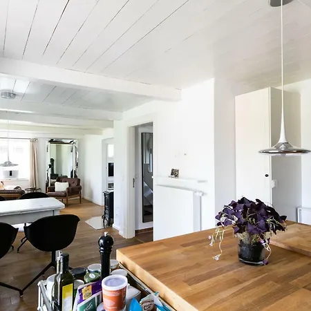 Luxus Ferienhaus No. 29 *